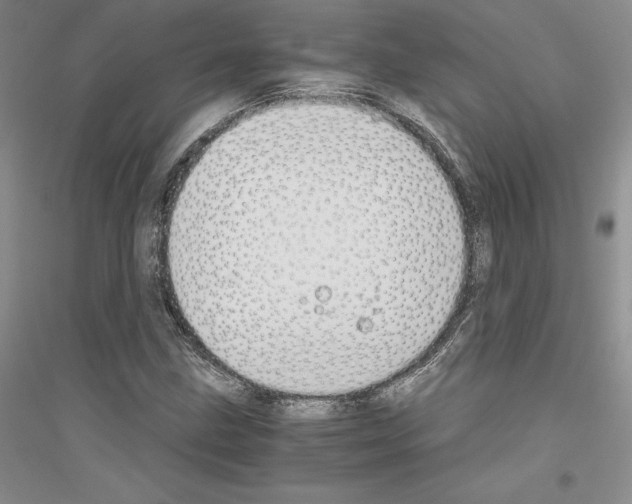 X0000116861211201002021059