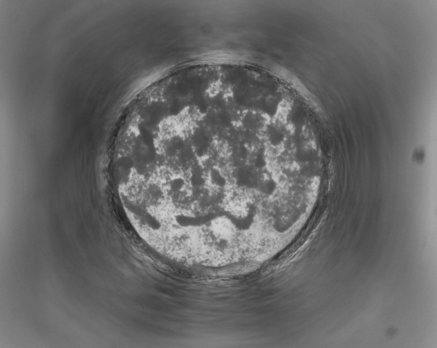 X0000116861213201002021059