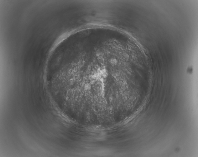 X0000116861215201002021059