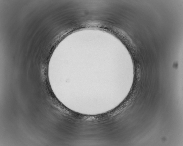 X0000116861217201002021059