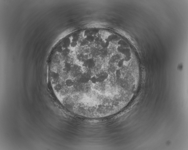 X0000116861219201002021059