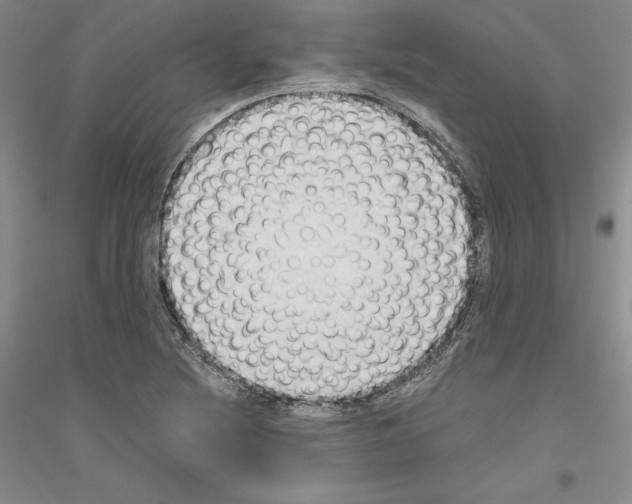 X0000116861220201002021059