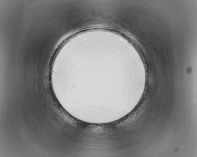 X0000116861222201002021059