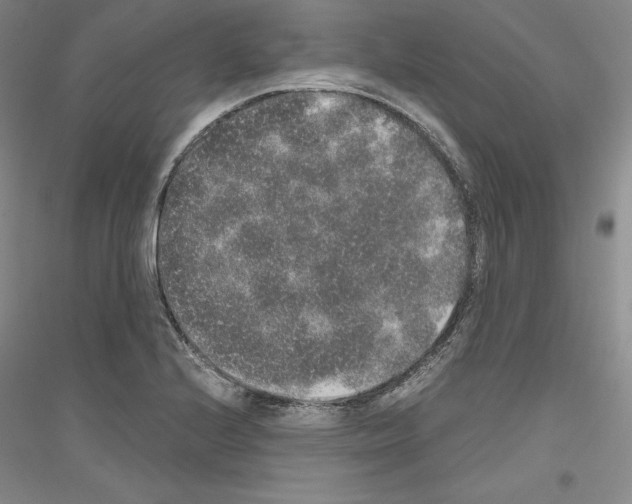 X0000116861224201002021059