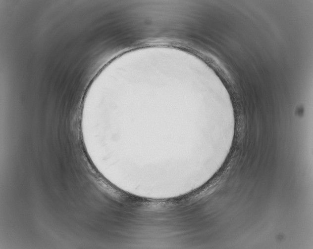 X0000116861228201002021059