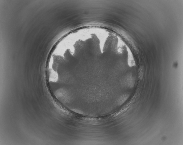 X0000116861229201002021059