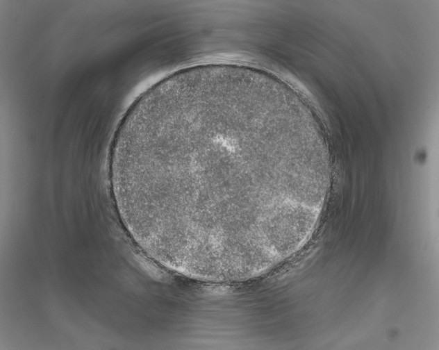 X0000116861230201002021059