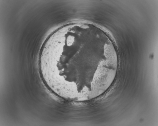 X0000116861231201002021059