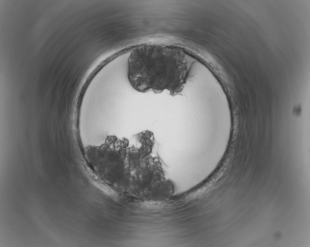 X0000116861232201002021059