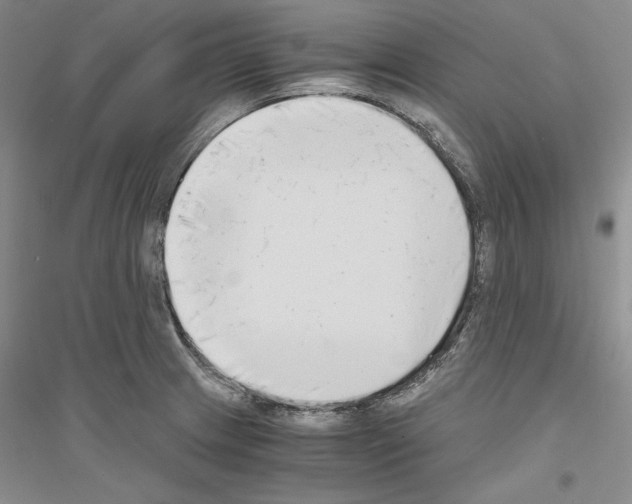 X0000116861233201002021059