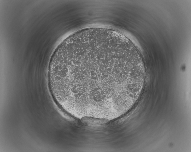 X0000116861237201002021059