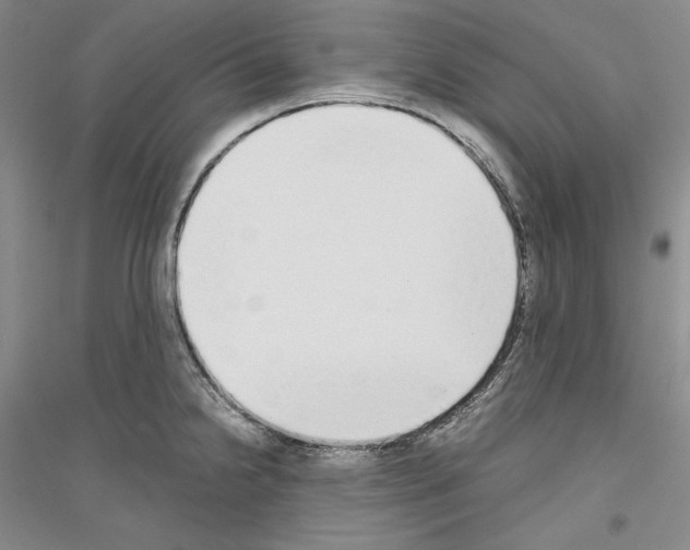 X0000116861238201002021059