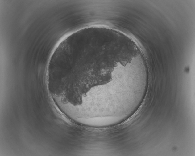 X0000116861240201002021059