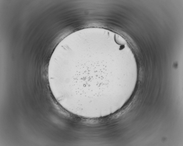 X0000116861241201002021059