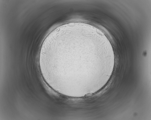 X0000116861244201002021059