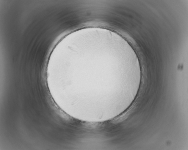 X0000116861248201002021100