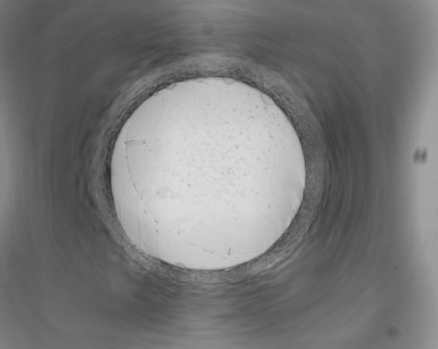 X0000116861249201002021059