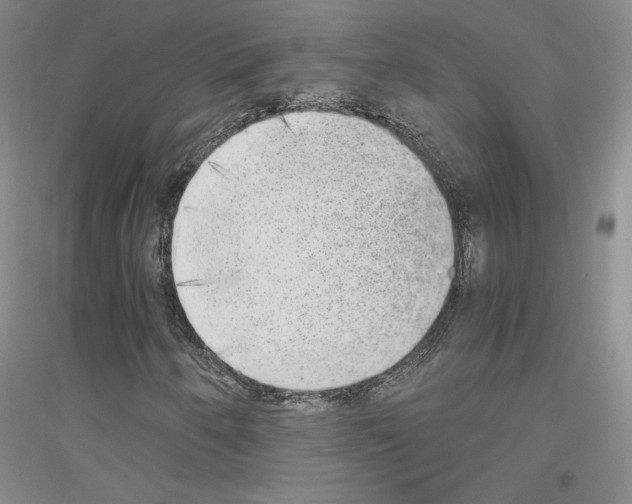 X0000116861250201002021059