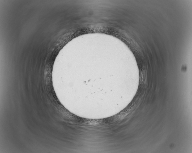 X0000116861251201002021059