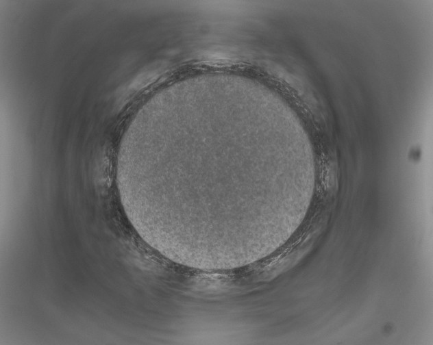 X0000116861253201002021059