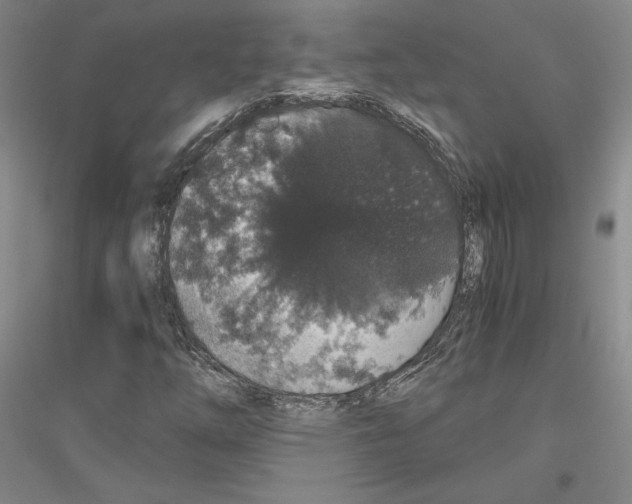 X0000116861254201002021059