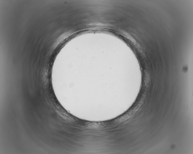 X0000116861259201002021059