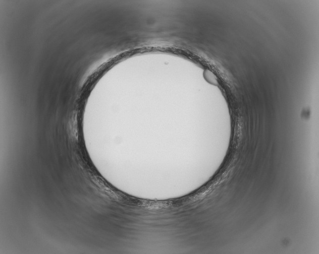 X0000116861262201002021059