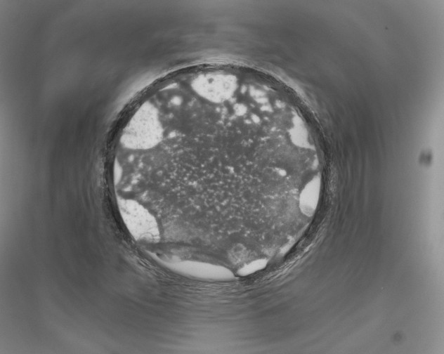 X0000116861263201002021059