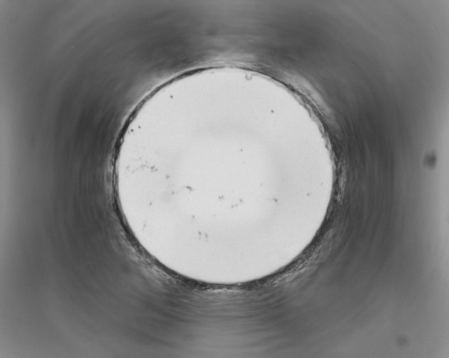 X0000116861268201002021059