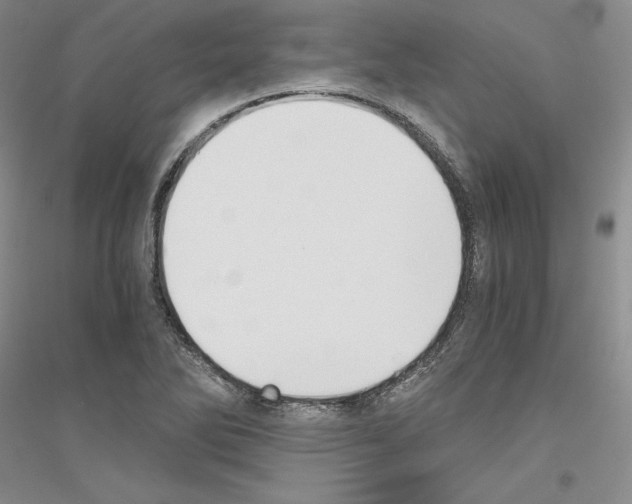 X0000116861270201002021059