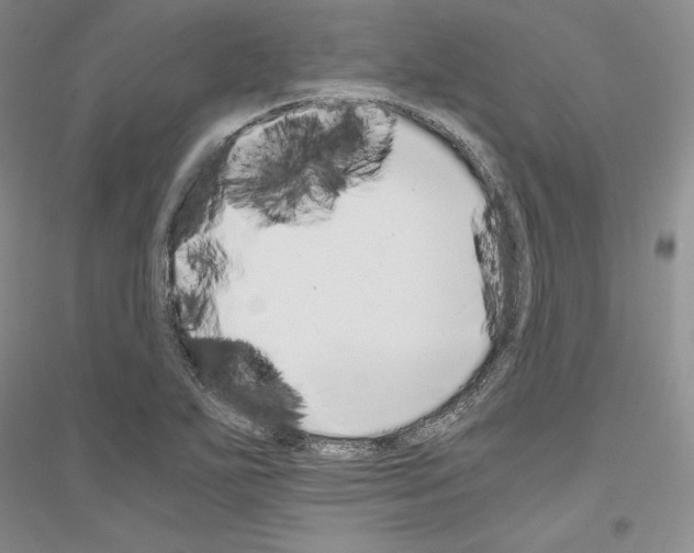 X0000116861271201002021059