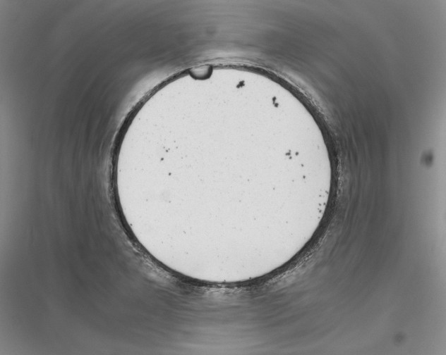 X0000116861277201002021059