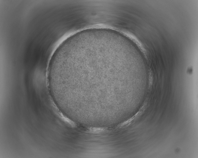 X0000116861278201002021058