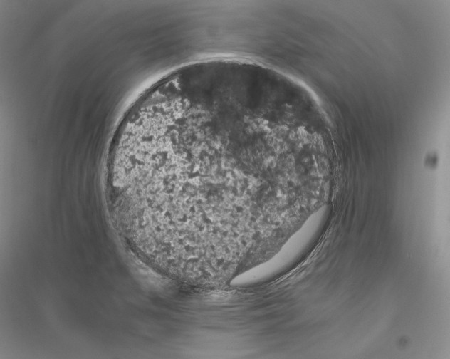 X0000116861279201002021058