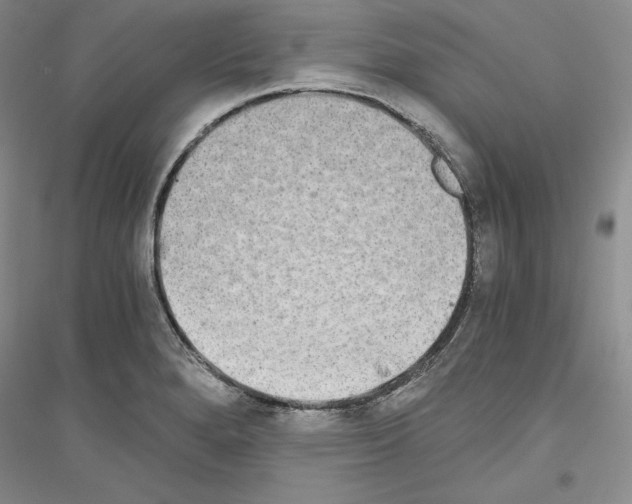 X0000116861280201002021058