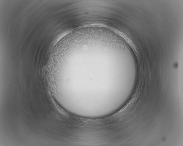 X0000116861281201002021058