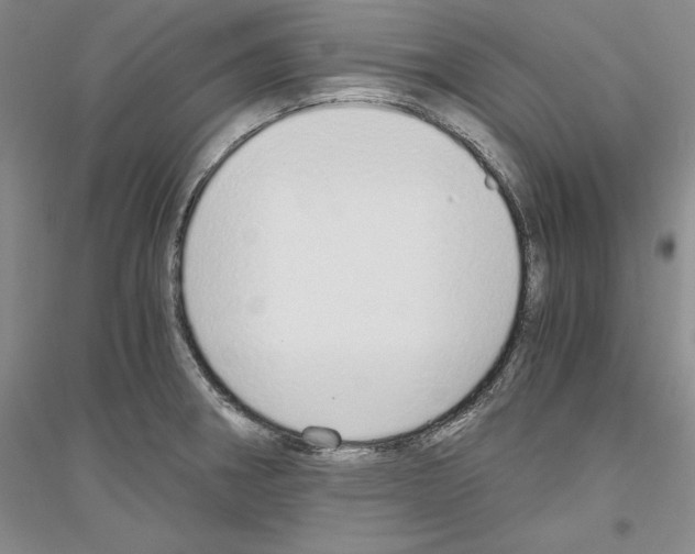 X0000116861282201002021058