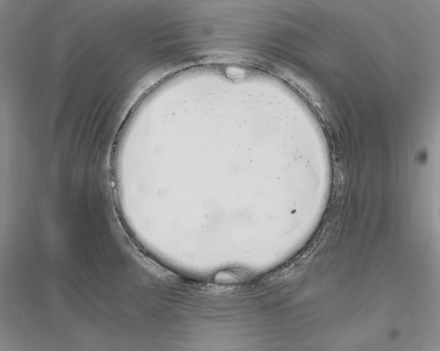 X0000116861283201002021058