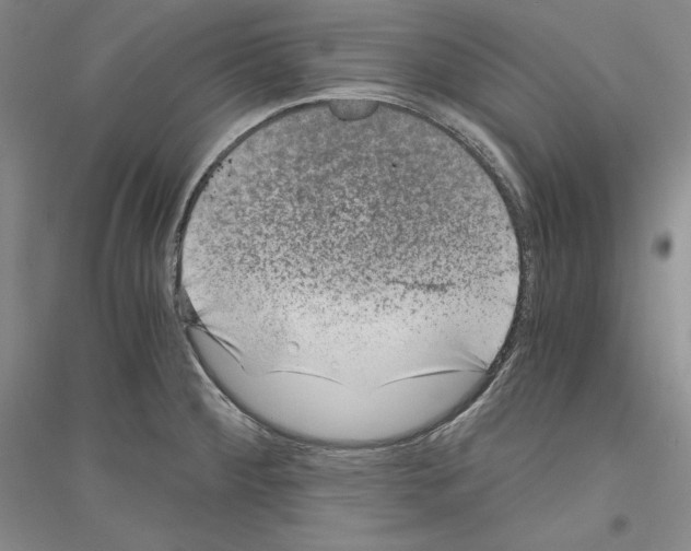 X0000116861284201002021058