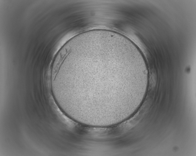 X0000116861290201002021058