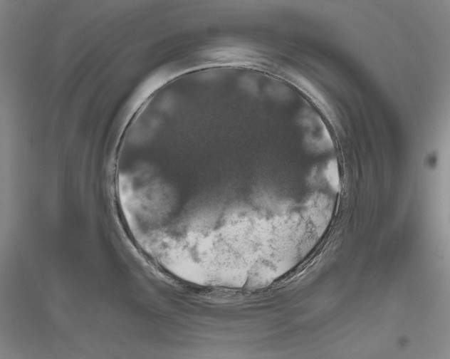 X0000116861291201002021058