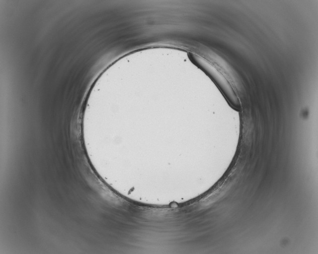 X0000116861292201002021058