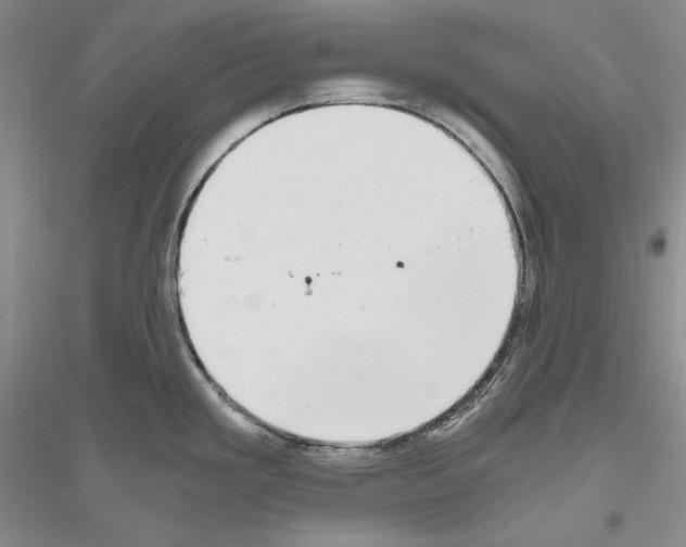 X0000116861293201002021058