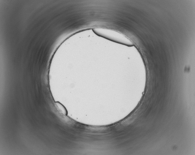 X0000116861296201002021058