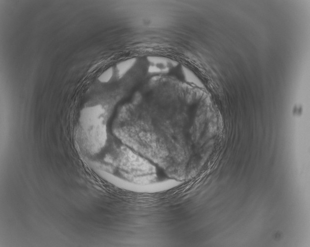 X0000116861297201002021058