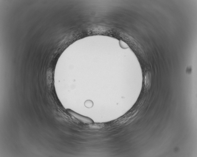 X0000116861299201002021058