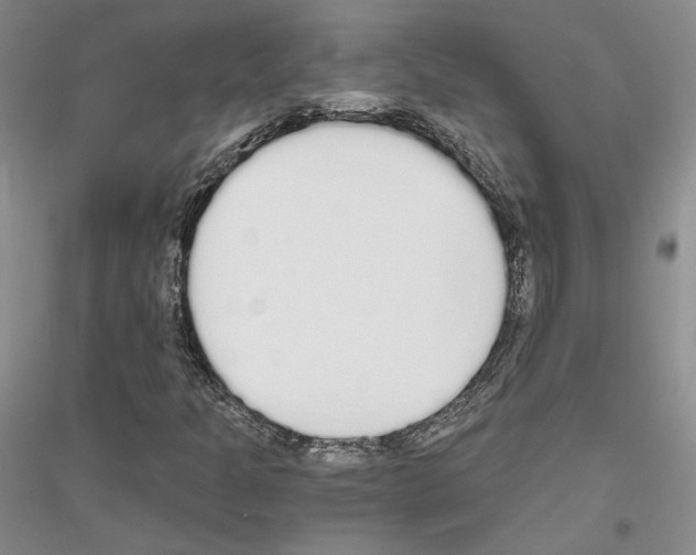 X0000116861301201002021058