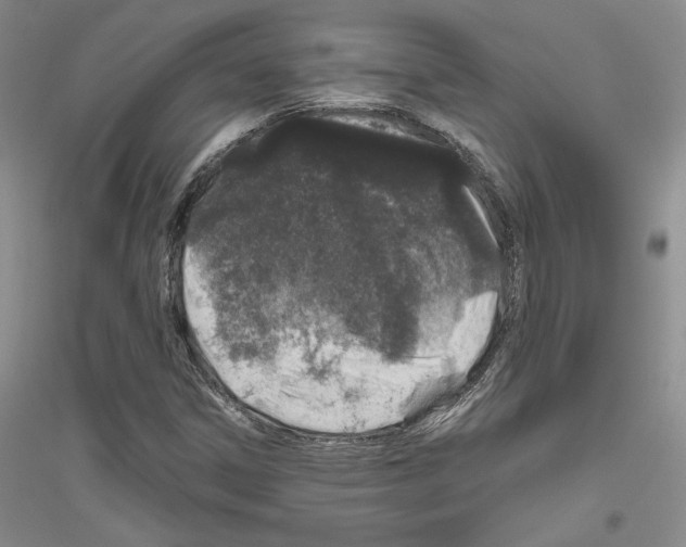 X0000116861306201002021058