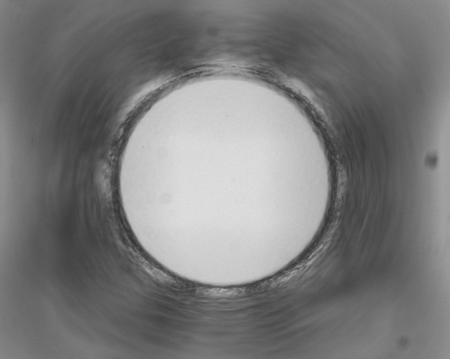 X0000116861307201002021058