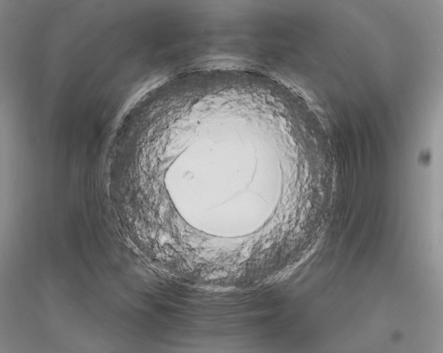 X0000116861309201002021058